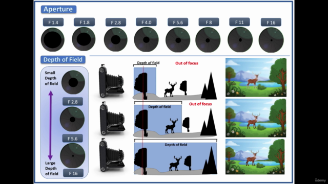 Camera Basics |Essentials – Screenshot 4