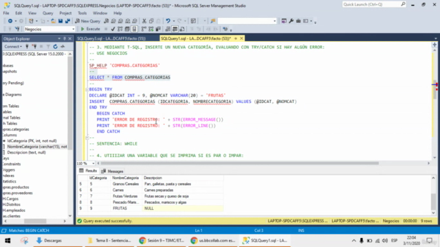 SQL Server Full Ejercicios Practicos – Screenshot 3