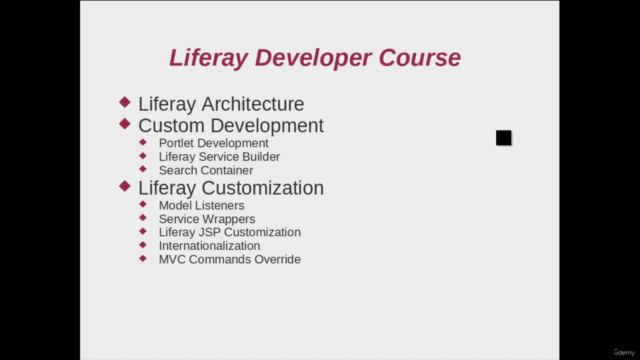 Liferay DXP Developer – Screenshot 1