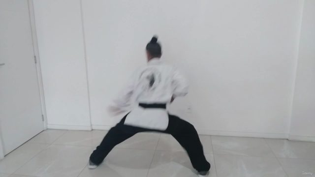 Curso Completo de Kung Fu – Screenshot 1