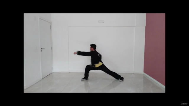 Curso Completo de Kung Fu – Screenshot 3