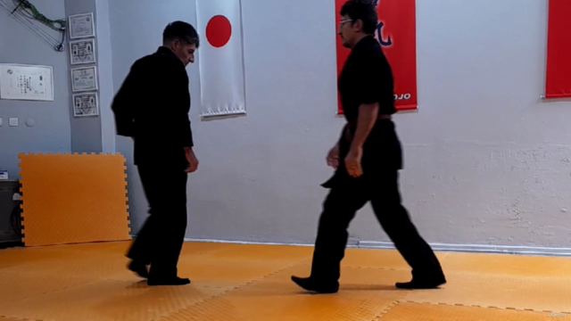 Learn Aikido From Intermediate Level/ Orta Seviye – Screenshot 1