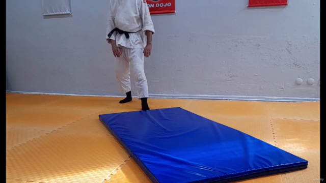 Learn Aikido From Intermediate Level/ Orta Seviye – Screenshot 2