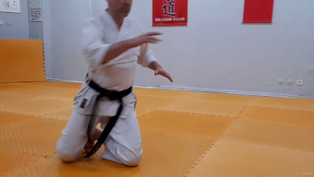 Learn Aikido From Intermediate Level/ Orta Seviye – Screenshot 3