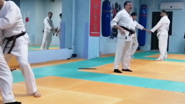 Learn Aikido From Intermediate Level/ Orta Seviye – Screenshot 4