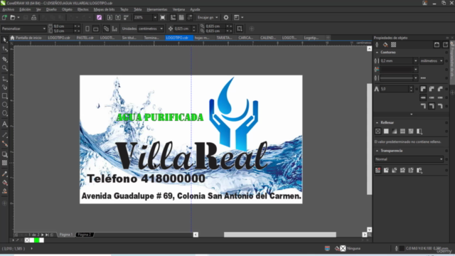 Diseño gráfico e impresión con CorelDraw – Screenshot 4
