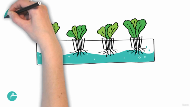 Future Farms: Hydroponics Course – Screenshot 3
