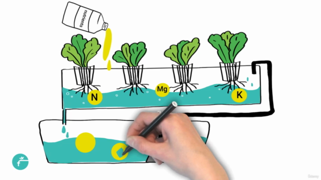 Future Farms: Hydroponics Course – Screenshot 4