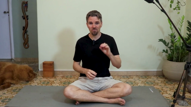 Primeiros Passos no Yoga – Screenshot 1