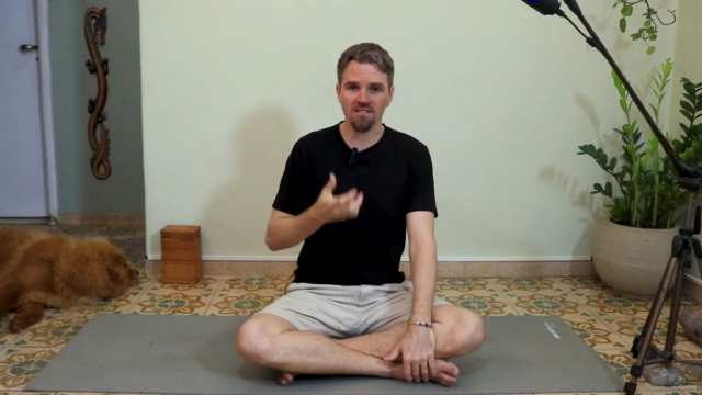 Primeiros Passos no Yoga – Screenshot 3