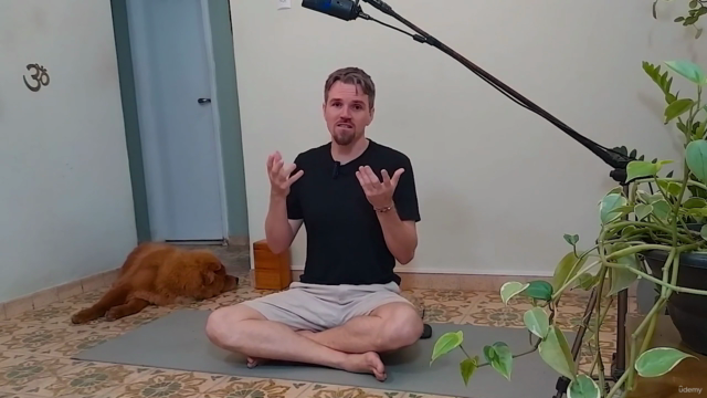 Primeiros Passos no Yoga – Screenshot 4