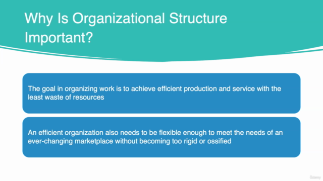 Organizational Design and Structure - Screenshot_04