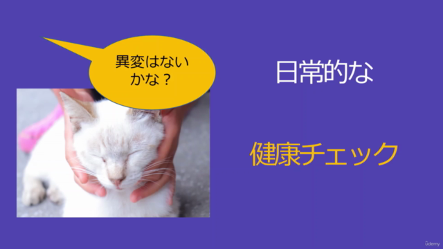 猫健康管理士が教える!「大切な猫ちゃんの健康を守ってハッピーに」ねこちゃん健康チェックマスターコース – Screenshot 2