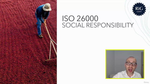 ISO 26000. Social responsibility - Screenshot_04