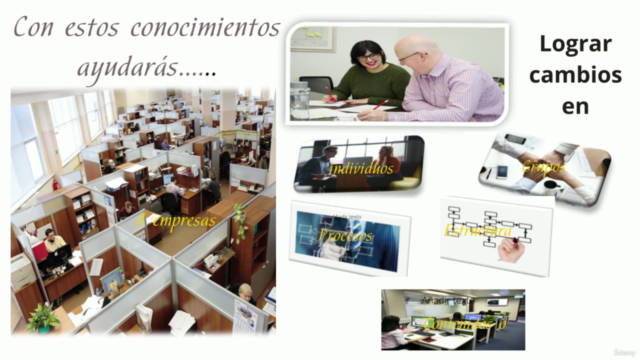 Habilidades de consultoría organizacional – Screenshot 2