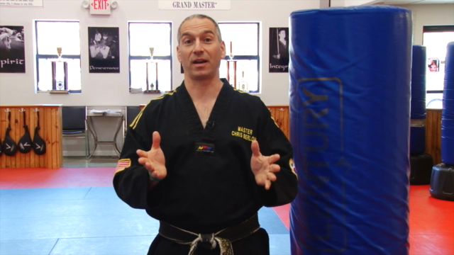 Learn to "Kick Like a Black Belt" for All Levels – Screenshot 1