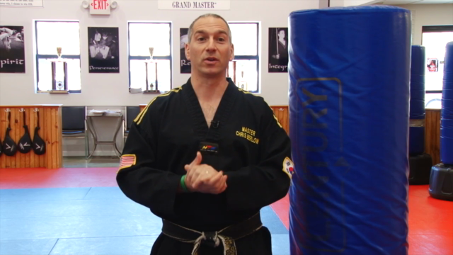 Learn to "Kick Like a Black Belt" for All Levels – Screenshot 2