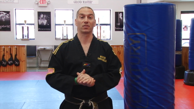 Learn to "Kick Like a Black Belt" for All Levels – Screenshot 4