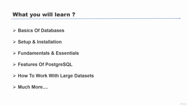 PostgreSQL Crash Course (2023) - Screenshot_02