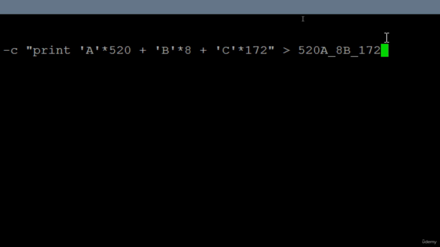 Exploit Development Linux (x64) – Screenshot 1