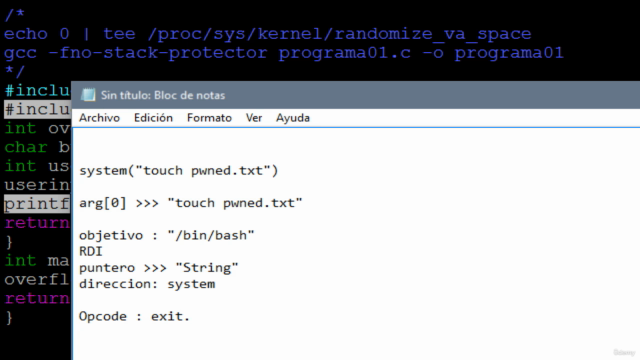 Exploit Development Linux (x64) – Screenshot 3
