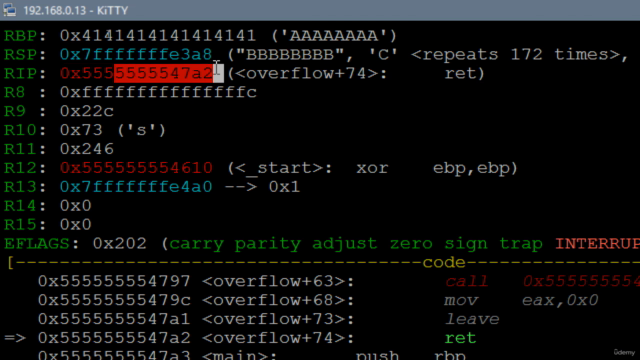 Exploit Development Linux (x64) – Screenshot 4