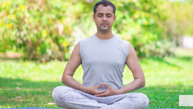 Meditation Teacher Training Certificate Course – Screenshot 1