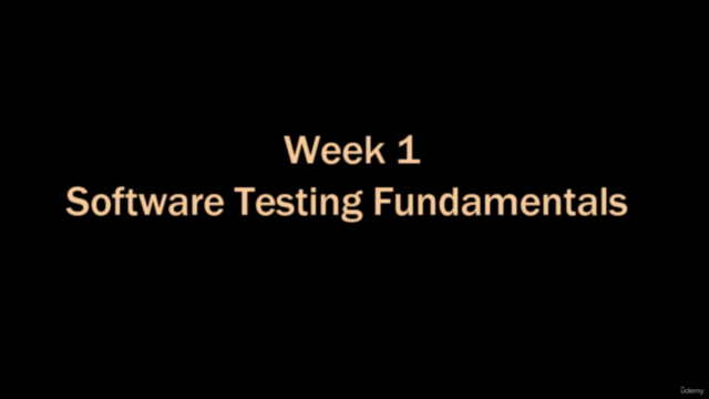 Software Development Life Cycle – Screenshot 2
