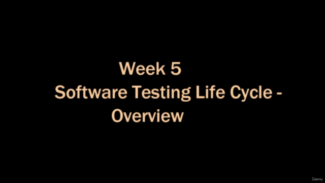Software Development Life Cycle – Screenshot 3