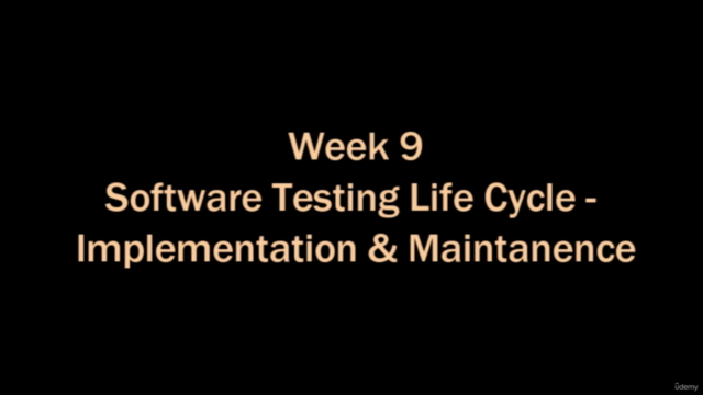 Software Development Life Cycle – Screenshot 4