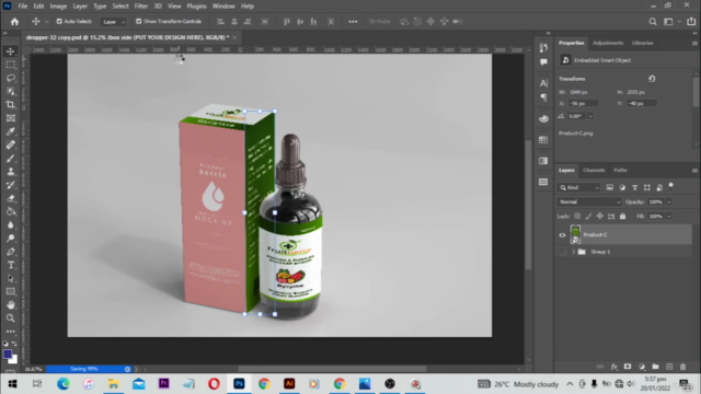 Ultimate Adobe Illustrator Training: From Beginner to Pro – Screenshot 3