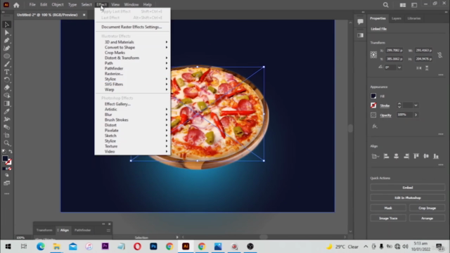 Ultimate Adobe Illustrator Training: From Beginner to Pro – Screenshot 4