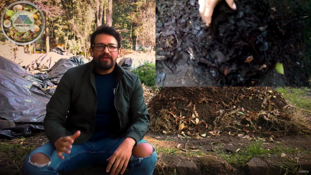 Compost from Food Waste and Brown leaves in 35 Days – Screenshot 4