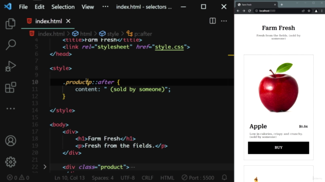 CSS Selector & XPath Masterclass – Screenshot 3