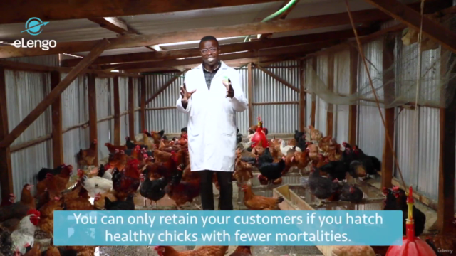 Mastering Hatching & Incubation for Poultry Farmers – Screenshot 2