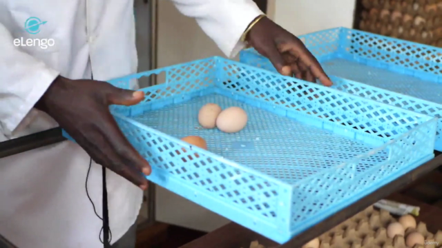 Mastering Hatching & Incubation for Poultry Farmers – Screenshot 3