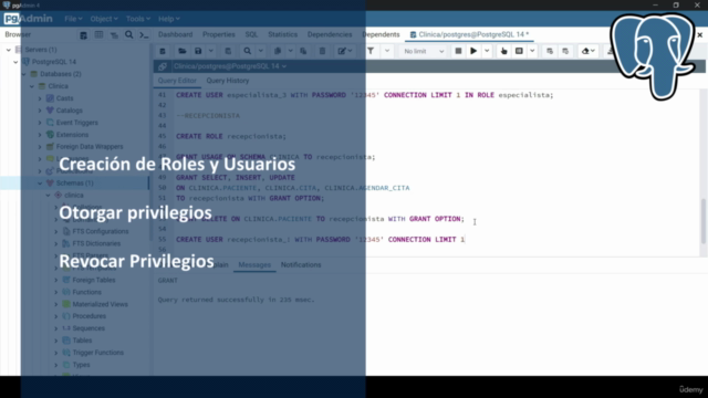 PostgreSQL de Cero a Avanzado (pgAdmin4 y Shell) – Screenshot 3