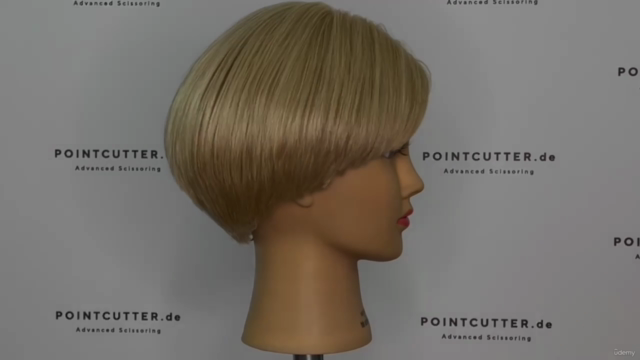 Become a Haircutter, Unit 4-6 – Screenshot 2