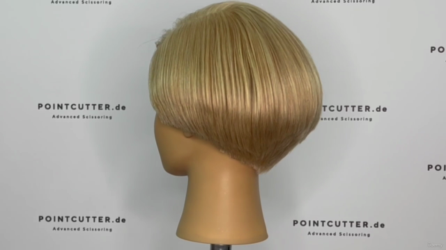 Become a Haircutter, Unit 4-6 – Screenshot 3