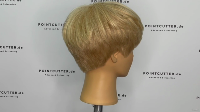 Become a Haircutter, Unit 4-6 – Screenshot 4