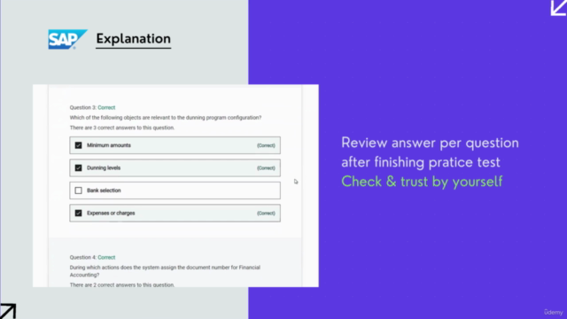 SAP S/4HANA Financial Accounting (SAP Financial - FI) – Screenshot 4