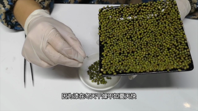 传统漆工艺|从0到1的完整漆工艺课程学习 – Screenshot 2