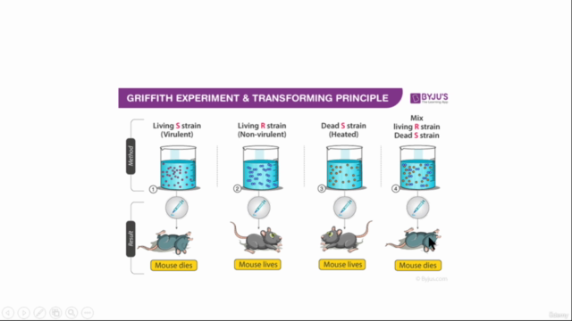 Fundamentals of General Genetics/Classical Genetics – Screenshot 1