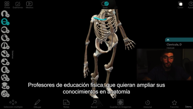 Anatomía: Osteología Miembro Superior - Screenshot_04
