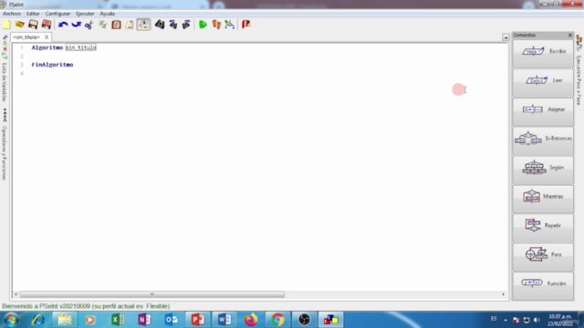 Curso PSeInt algoritmos y lógica de programación – Screenshot 4