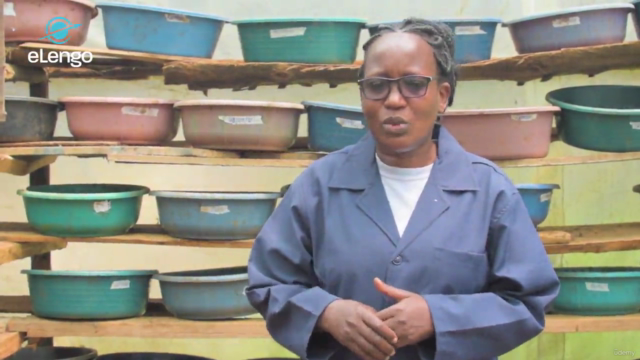 The Basics of BSF Farming: Sustainable Protein for Poultry – Screenshot 3