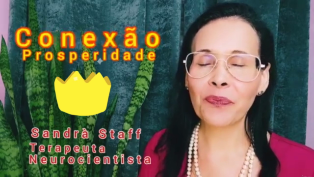 PNL: A Chave da Prosperidade – Screenshot 4