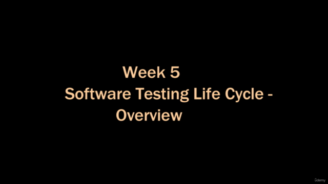 Software Testing Life Cycle - Screenshot_03