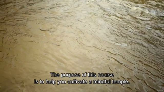 Body: Learn How to Ground Yourself – Screenshot 4