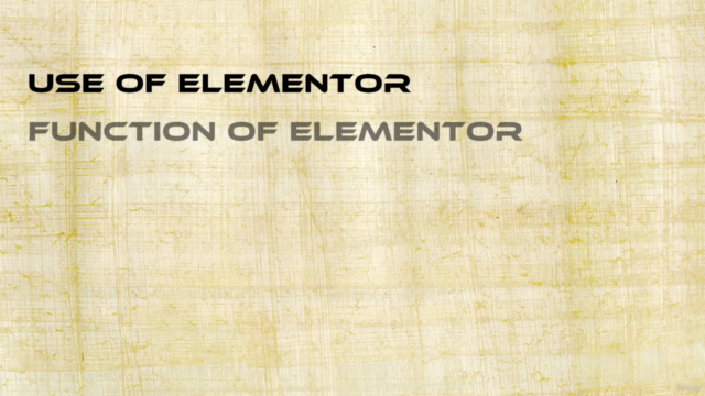 Wordpress Elementor Course: Develop Site Without Coding – Screenshot 2